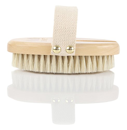 Best-Dry-Body-Brush-Wet-Exfoliating-Set-for-Effective-Skin-Exfoliation-Lymphatic-Drainage-Reduce-Cellulite-Improve-Circulation-Bonus-Shower-Gloves-Body-Brushing-Detox-Guide-Great-GIFT-0-2 Best-Dry-Body-Brush-Wet-Exfoliating-Set-for-Effective-Skin-Exfoliation-Lymphatic-Drainage-Reduce-Cellulite-Improve-Circulation-Bonus-Shower-Gloves-Body-Brushing-Detox-Guide-Great-GIFT-0-2
