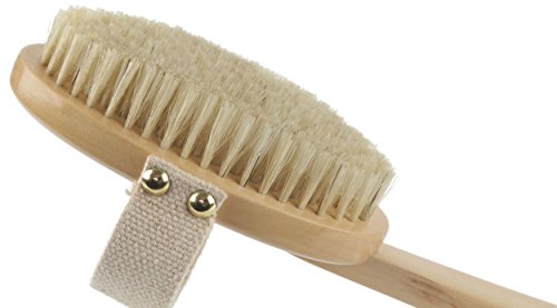Best-Dry-Body-Brush-Wet-Exfoliating-Set-for-Effective-Skin-Exfoliation-Lymphatic-Drainage-Reduce-Cellulite-Improve-Circulation-Bonus-Shower-Gloves-Body-Brushing-Detox-Guide-Great-GIFT-0-6 Best-Dry-Body-Brush-Wet-Exfoliating-Set-for-Effective-Skin-Exfoliation-Lymphatic-Drainage-Reduce-Cellulite-Improve-Circulation-Bonus-Shower-Gloves-Body-Brushing-Detox-Guide-Great-GIFT-0-6
